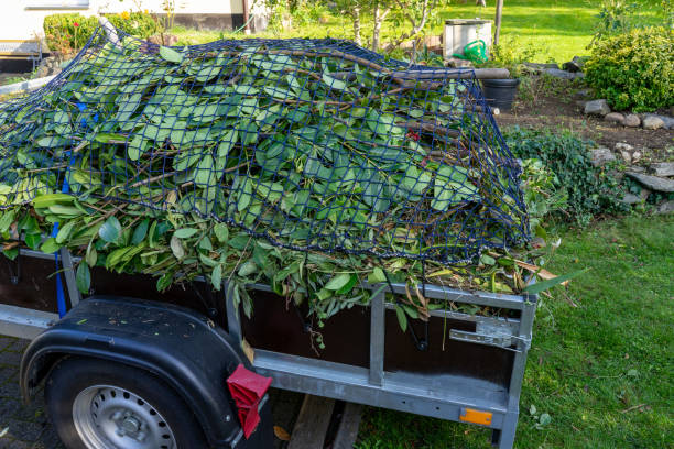  O, MI Junk Removal Services Pros